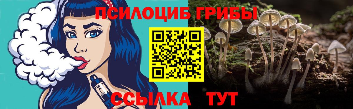 Галлюциногенные грибы MAGIC MUSHROOMS  Псилоцибиновые грибы прущие грибы  Кисловодск  Вход с VPN 