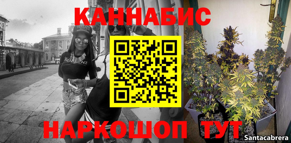 Бошки марихуана конопля Кисловодск
